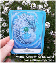 Load image into Gallery viewer, Painting - Air Dragon