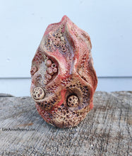Load image into Gallery viewer, Sculpture - Coral Spire