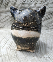 Load image into Gallery viewer, Med Jar - Tassie Devil