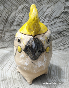 Med Jar - Cockatoo