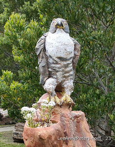 Falcon on tree - very large - (pick up only)