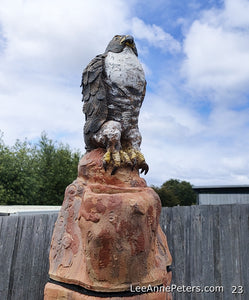 Falcon on tree - very large - (pick up only)