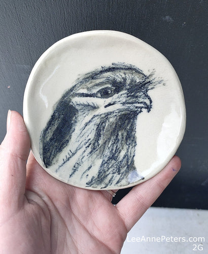 Dish - tawny frogmouth