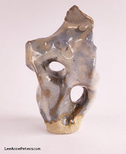 Load image into Gallery viewer, Zen Garden with Scholar&#39;s Rock