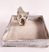 Load image into Gallery viewer, Zen Garden with Scholar&#39;s Rock