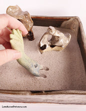 Load image into Gallery viewer, Zen Garden with Scholar&#39;s Rock