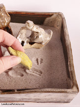 Load image into Gallery viewer, Zen Garden with Scholar&#39;s Rock