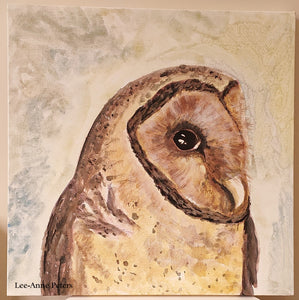 Masked Owl