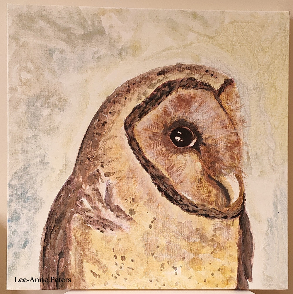 Masked Owl