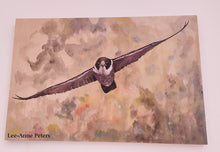 Load image into Gallery viewer, Peregrine Falcon