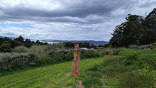 Load image into Gallery viewer, Falcon on tree - very large - (pick up only)